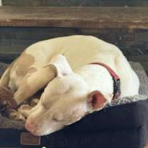 Thumbnail photo of Hope (LA) NEW PIC! #2