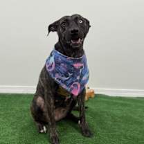 Thumbnail photo of Grace #3