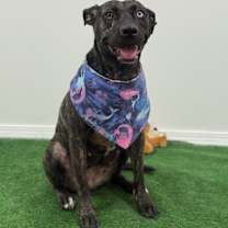 Thumbnail photo of Grace #4