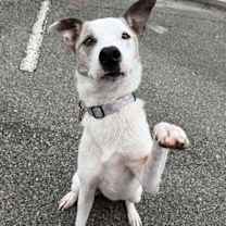 Thumbnail photo of Tuesday #3