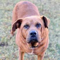 Thumbnail photo of MUNECO #2