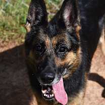 Thumbnail photo of Helen #4