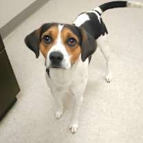 Thumbnail photo of Carter #2