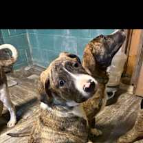 Thumbnail photo of Tracker #1