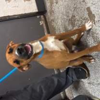 Thumbnail photo of Loaf #2