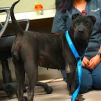 Thumbnail photo of Donette #2