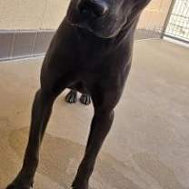 Thumbnail photo of Donette #3