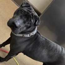 Thumbnail photo of Donette #4