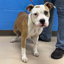 Thumbnail photo of Jewel #4