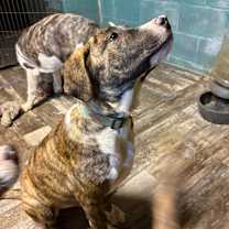 Thumbnail photo of Tracker #2