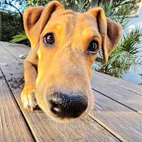 Thumbnail photo of Kelsea #3