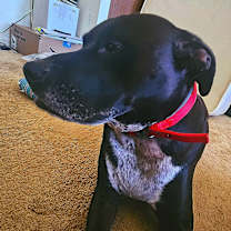 Thumbnail photo of Kane #1