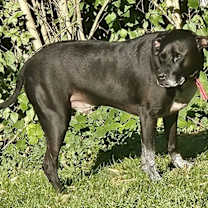 Thumbnail photo of Kane #2