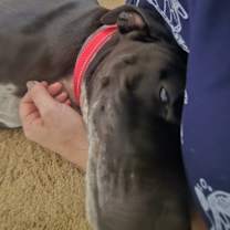 Thumbnail photo of Kane #3