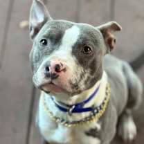 Thumbnail photo of Waylon #3