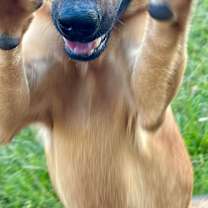 Thumbnail photo of Spencer #4