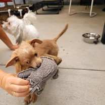 Thumbnail photo of Latte #3