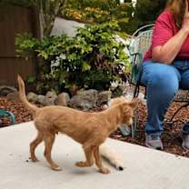 Thumbnail photo of Latte #4