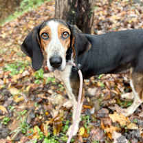 Thumbnail photo of Martie Maguire #1