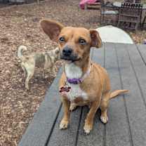 Thumbnail photo of Elvira #4