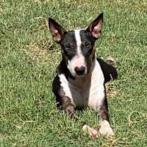 Thumbnail photo of Brooklyn #2