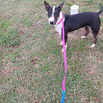 Thumbnail photo of Brooklyn #3