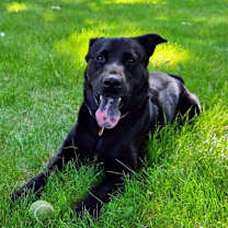 Thumbnail photo of Vader #3