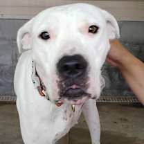 Thumbnail photo of Evita #2