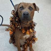 Thumbnail photo of Thad 1147 #1