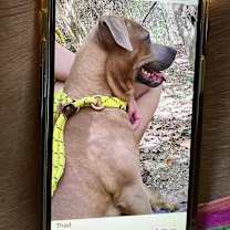 Thumbnail photo of Thad 1147 #4