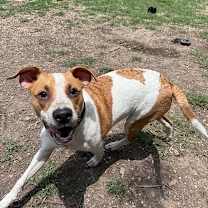 Thumbnail photo of Nabisco #2