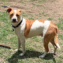 Thumbnail photo of Nabisco #3