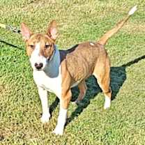 Thumbnail photo of Cypress #1