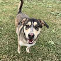 Thumbnail photo of Zeus #4