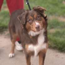 Thumbnail photo of AUBREY #1