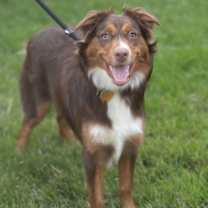 Thumbnail photo of AUBREY #2