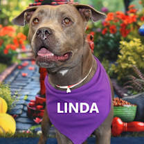 Thumbnail photo of Linda #2
