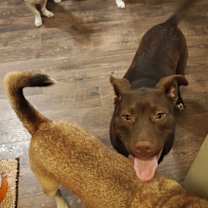 Thumbnail photo of Simon #4