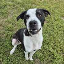 Thumbnail photo of Peaches #1