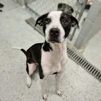 Thumbnail photo of Peaches #2