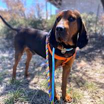 Thumbnail photo of Carter #1