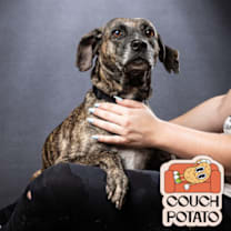 Thumbnail photo of Kimba #1