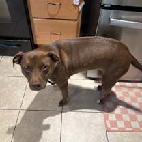 Thumbnail photo of Spice #3