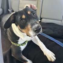 Thumbnail photo of Rick Astley #1