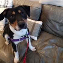 Thumbnail photo of Rick Astley #2