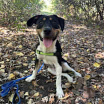 Thumbnail photo of Rick Astley #3