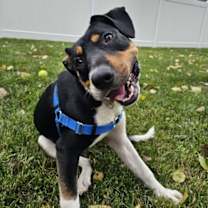 Thumbnail photo of Rick Astley #4