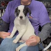 Thumbnail photo of Heather's 6 Sameer #2