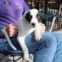 Thumbnail photo of Heather's 6 Sameer #3