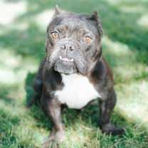 Thumbnail photo of Midnights #1